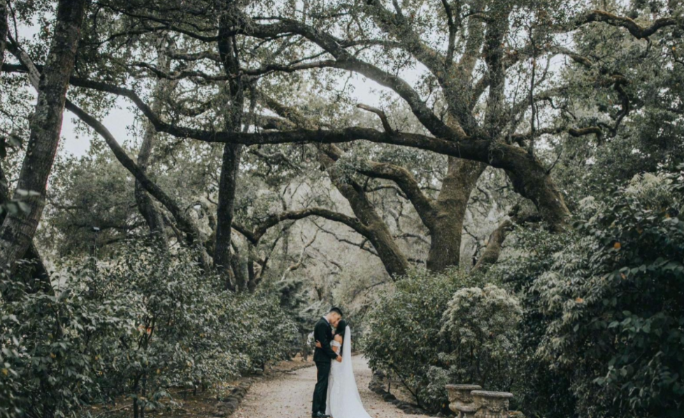 林书豪现状低调隐婚三年妻子很漂亮36岁和弟弟在台湾打篮球