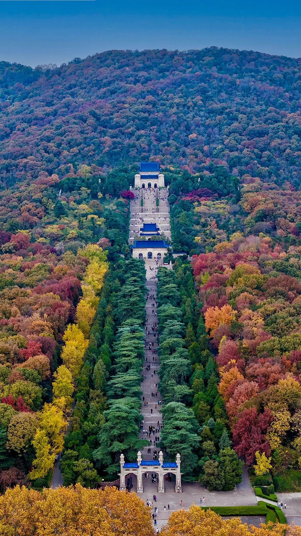 都说南京人好景美旅游才发现南京人民的生活和想象中差别太大