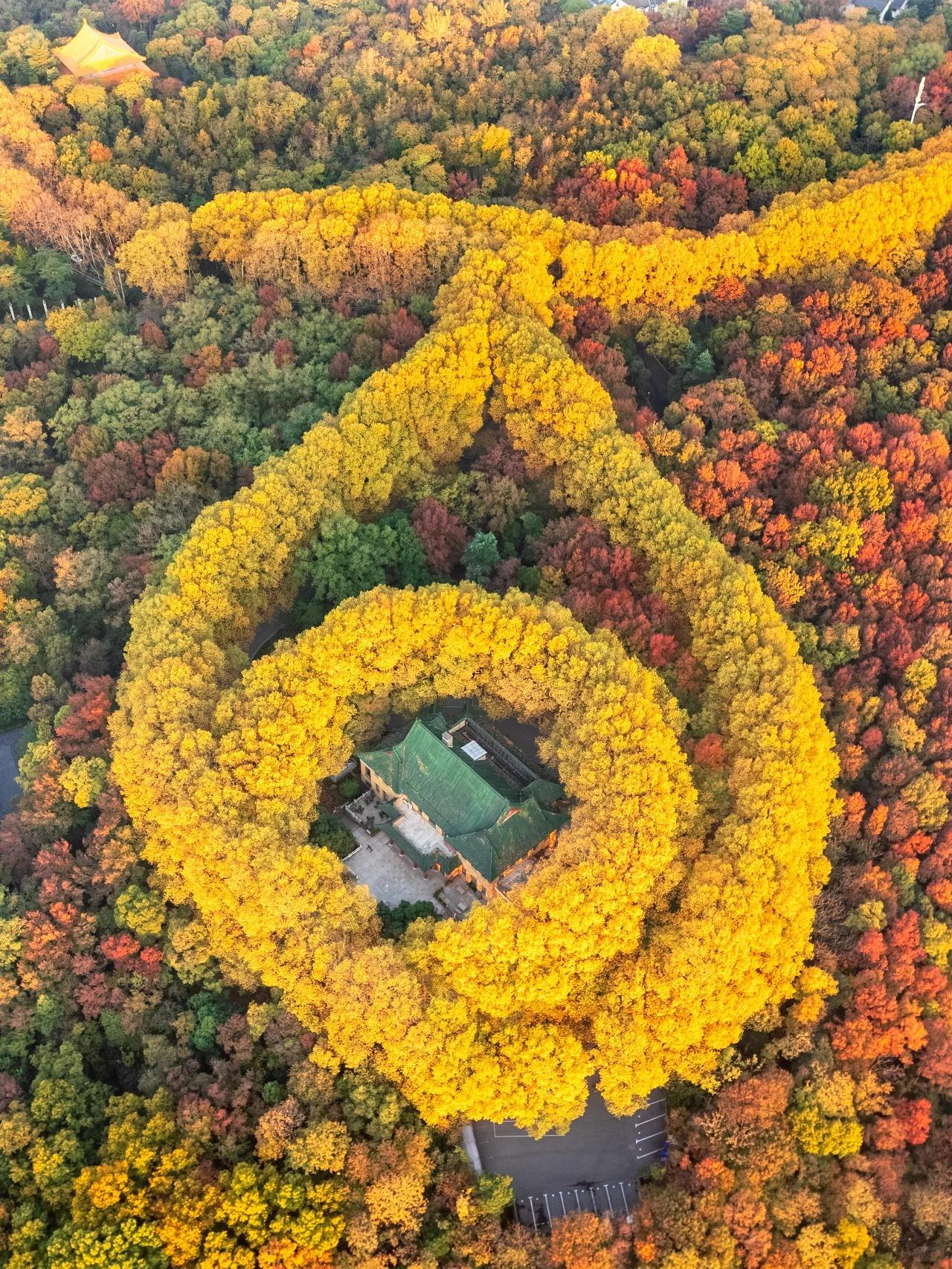 都说南京人好景美,旅游才发现,南京人民的生活和想象中差别太大