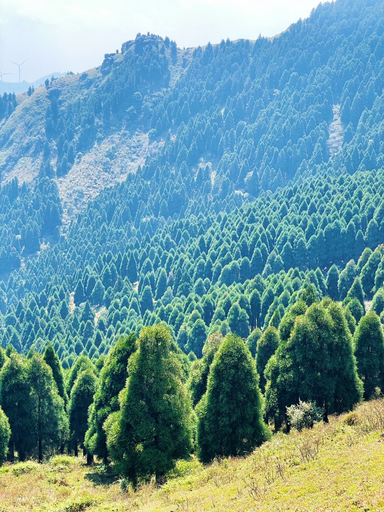 夜爬六五顶看日出看漫天繁星徒步广西版的那拉提高山草原