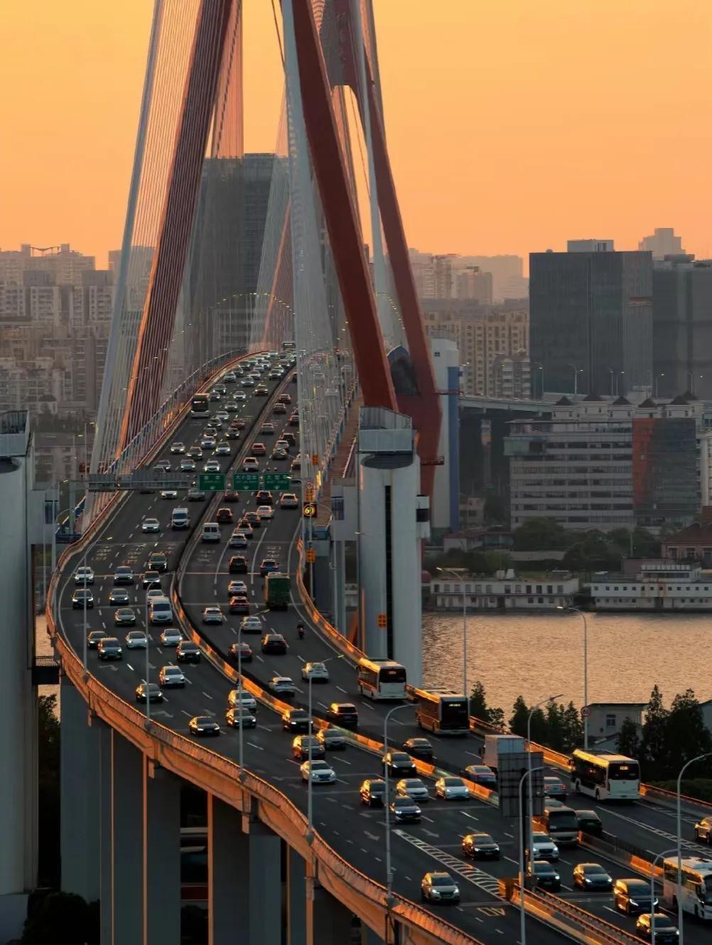 在上海生活了一年,告诉你一个真实的上海,句句都是肺腑之言