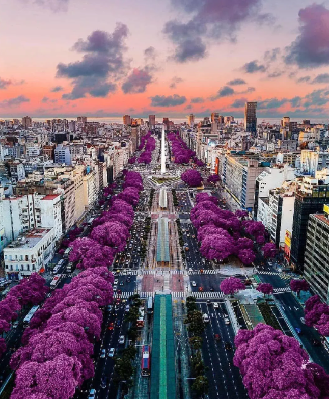 去了趟阿根廷旅游有些话不说憋着难受告诉你一个真实的阿根廷