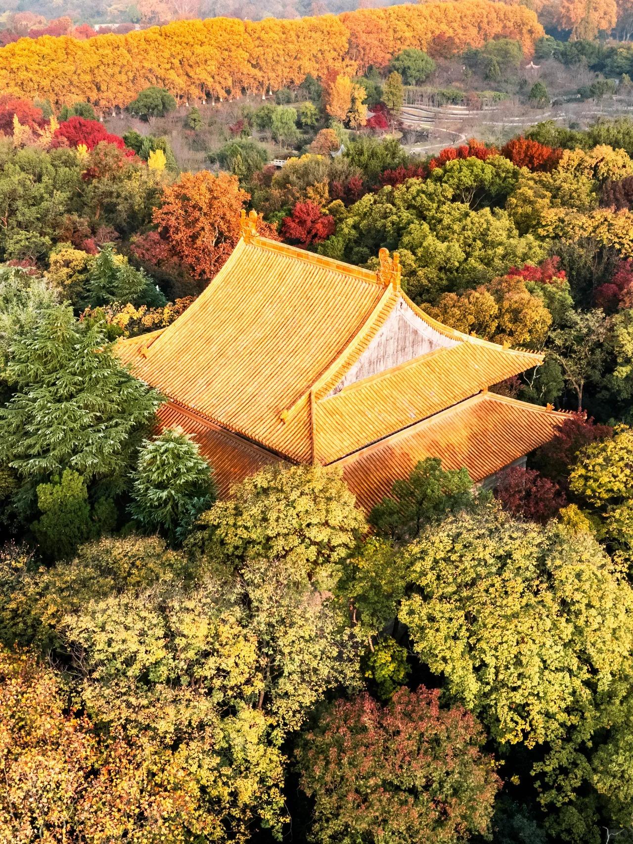 都说南京人好景美旅游才发现南京人民的生活和想象中差别太大