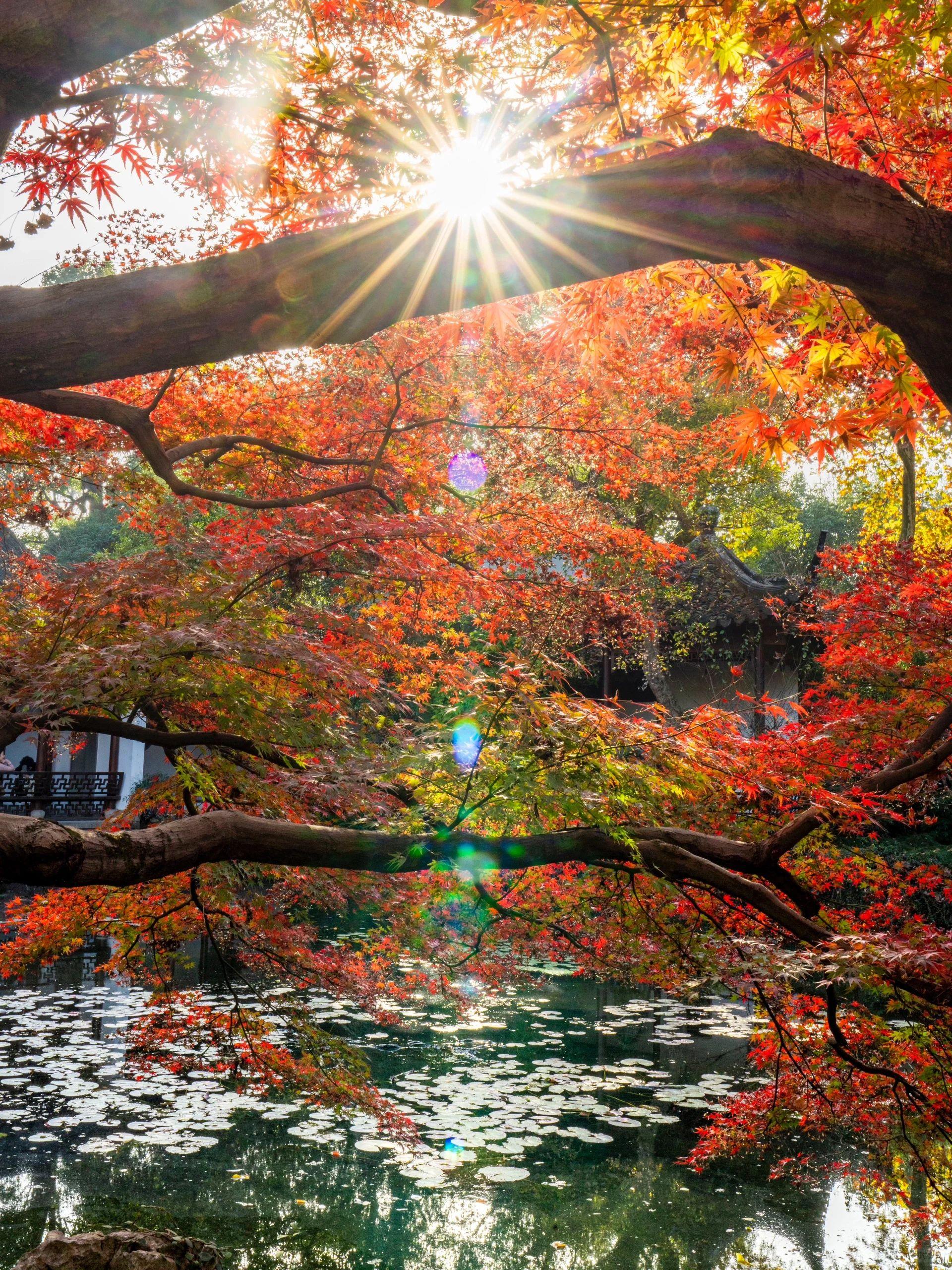 去杭州旅游发现杭州真的跟网上说的太不一样差别太大了