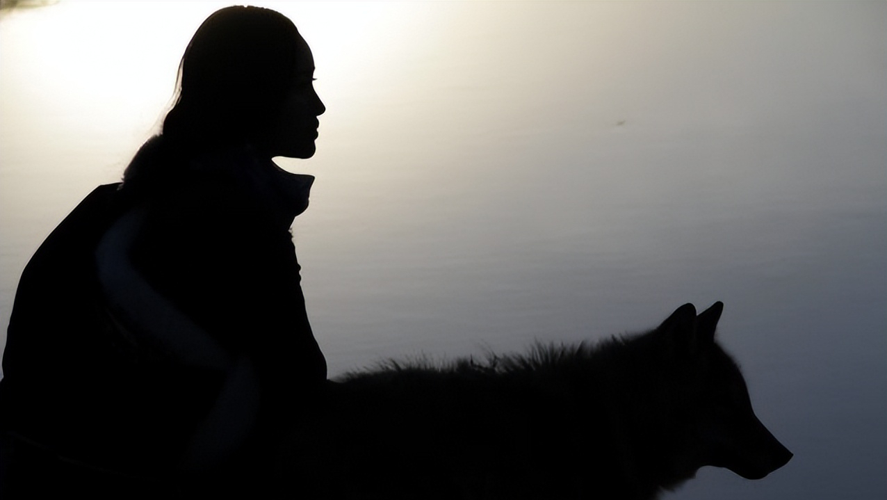 14年前把狼当儿子带回家的成都女孩10年后在草原与它再次相认