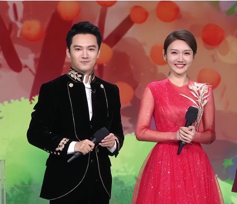 回顾龙洋从湖南走出的央视著名主持人男友在雾中迷路了