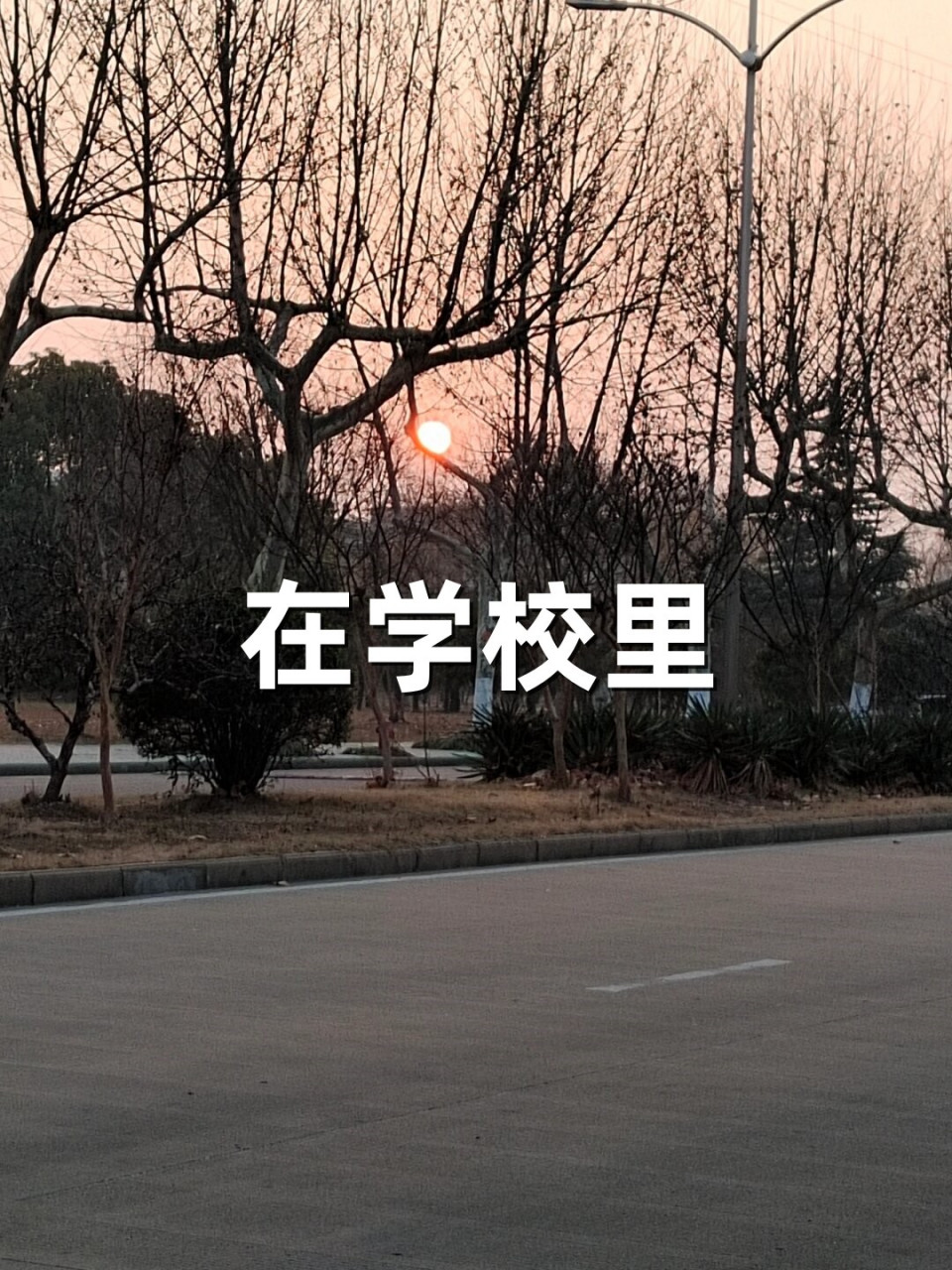 我背上书包,踏上通往教室的小路,心中充满期待和激动.