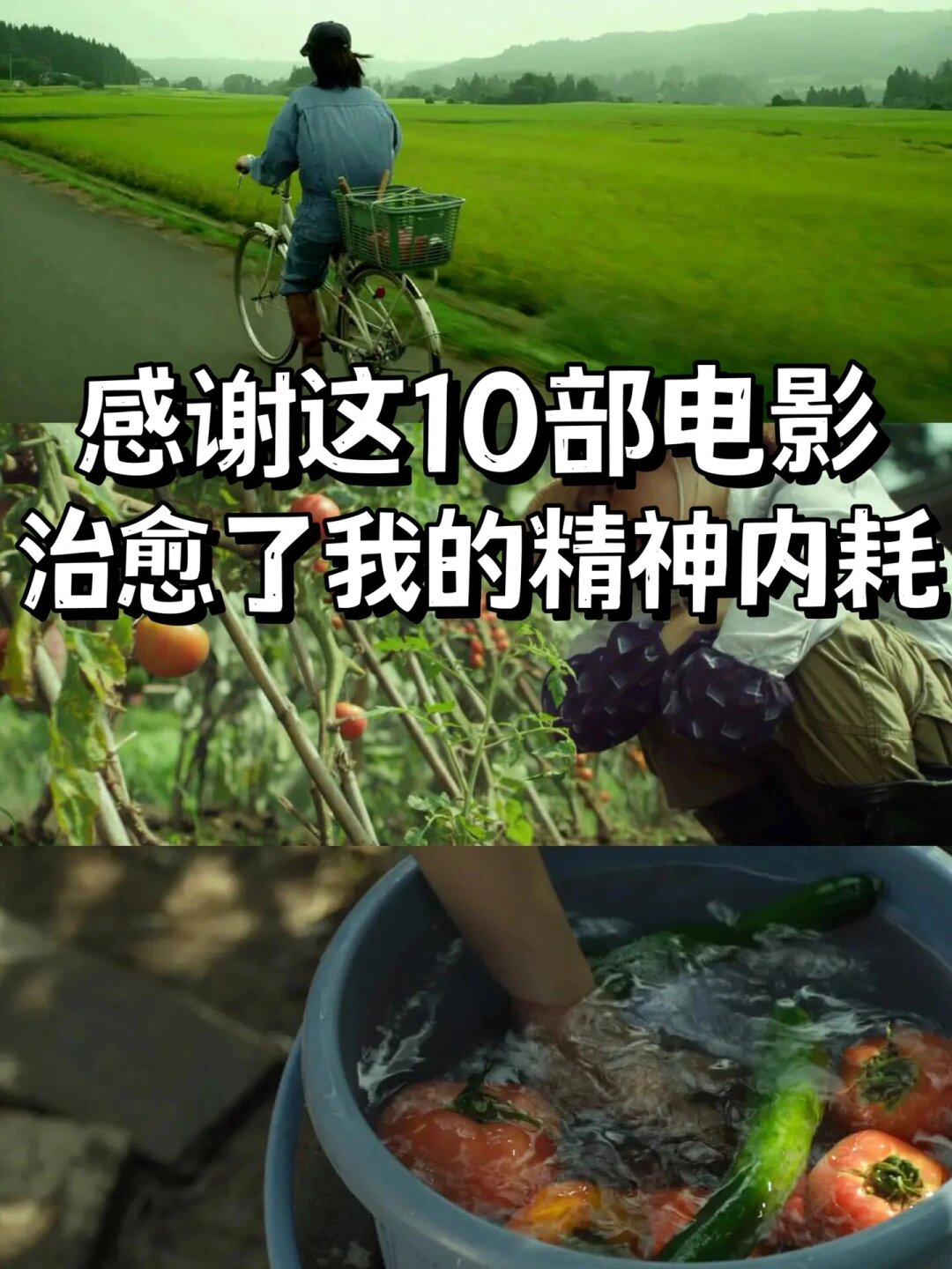 10部高分治愈系电影推荐  放假时,是时候放下繁忙的工作,享受一段悠闲