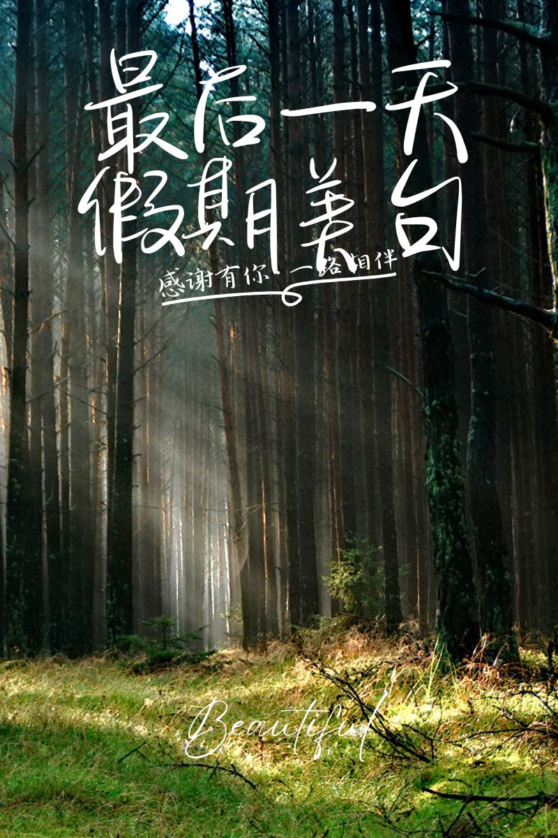 最后一天假期,阳光依旧灿烂,仿佛舍不得我离开这