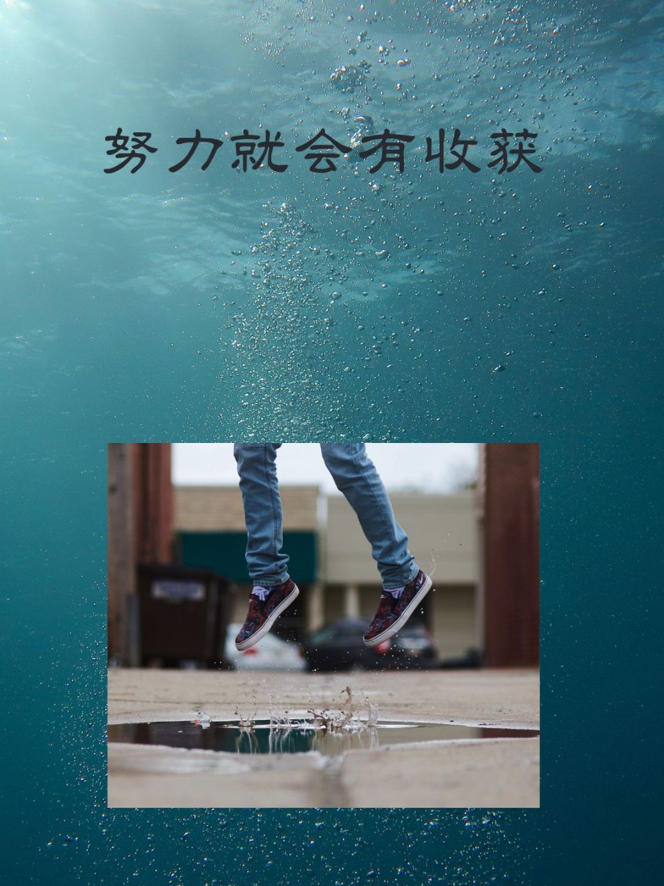 努力就会有收获的句子 🌟一直以来我都一个深信不疑的观念,那就是