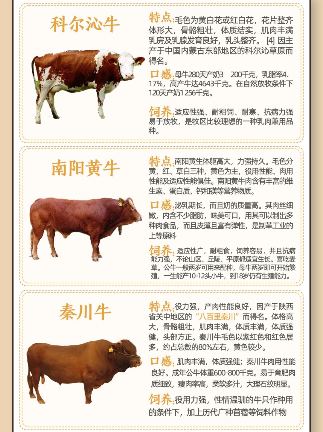 有许多常见的品种,它们各具特色,共同演绎着草原上的力量与美丽