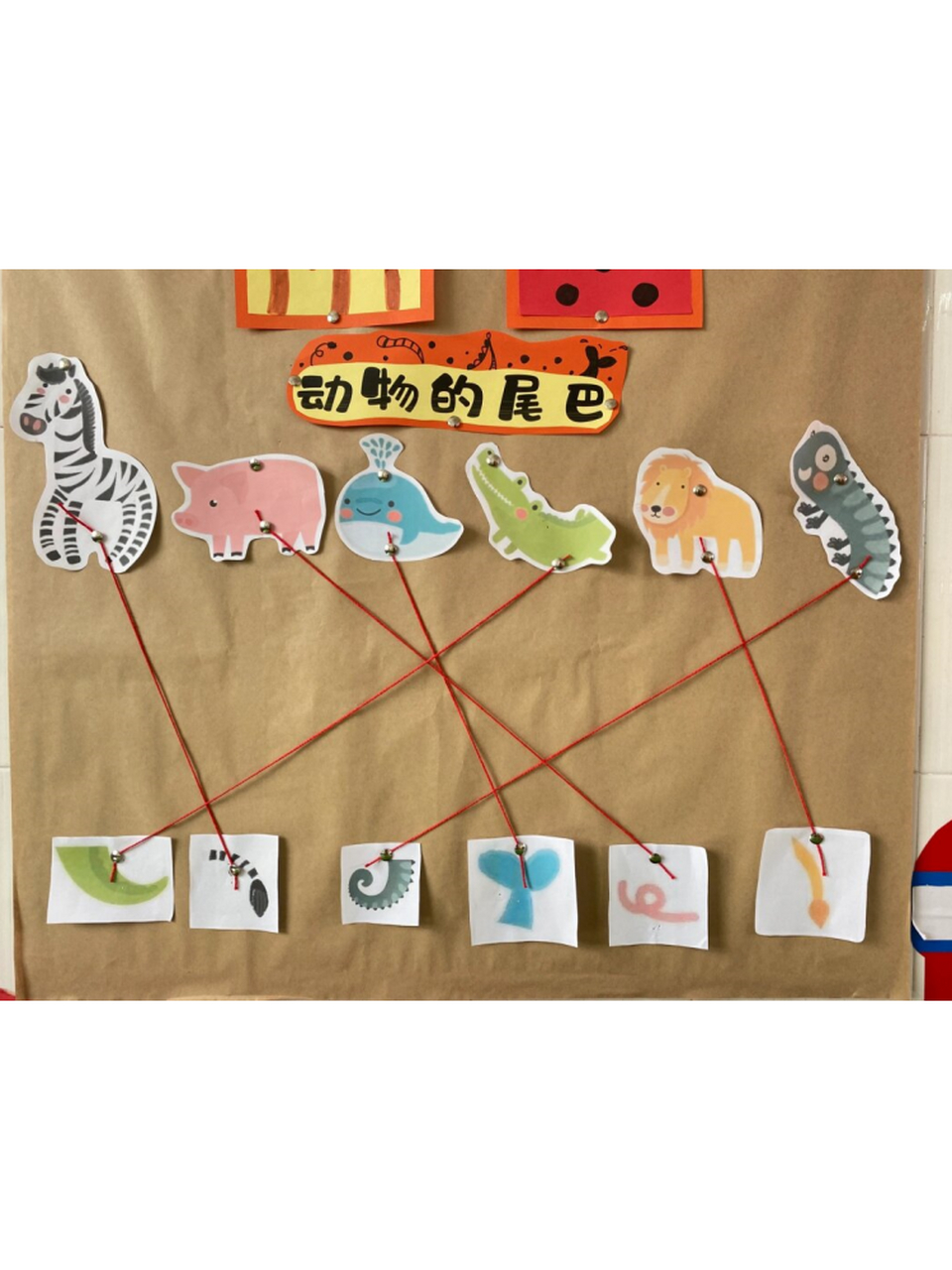 动物世界  幼儿园主题墙环创  板块一:濒临动物0194,保护动物从我