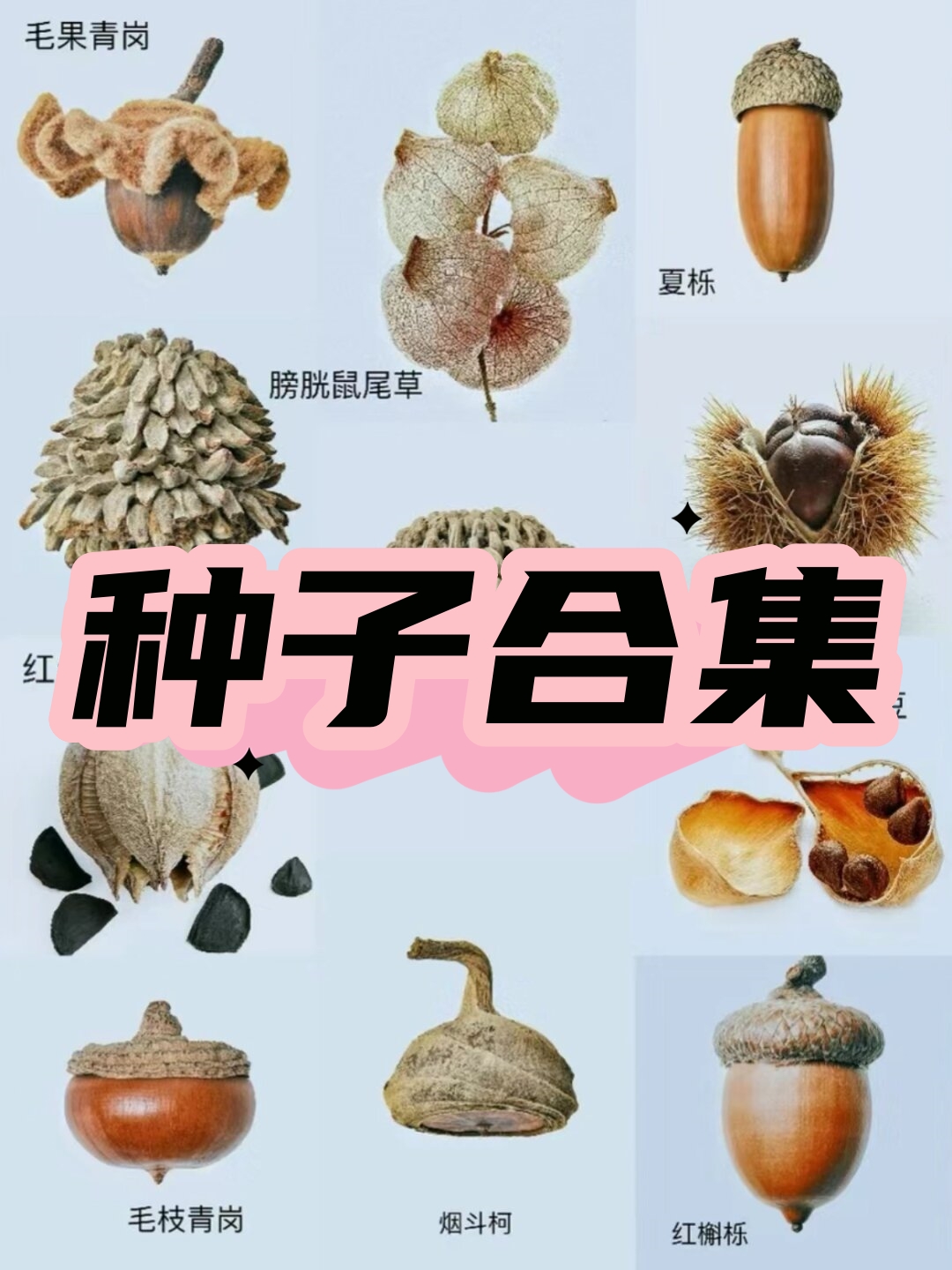 今天,我要向大家介绍一种打开这个神秘世界的神奇工具