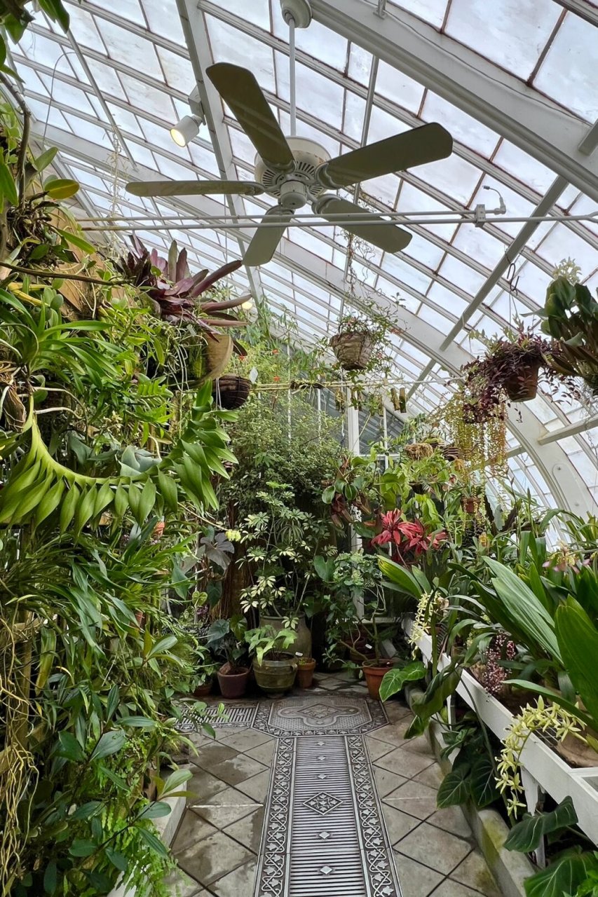 来旧金山植物园和温室花房感受万物生长  当你踏入这片绿意盎然的植物