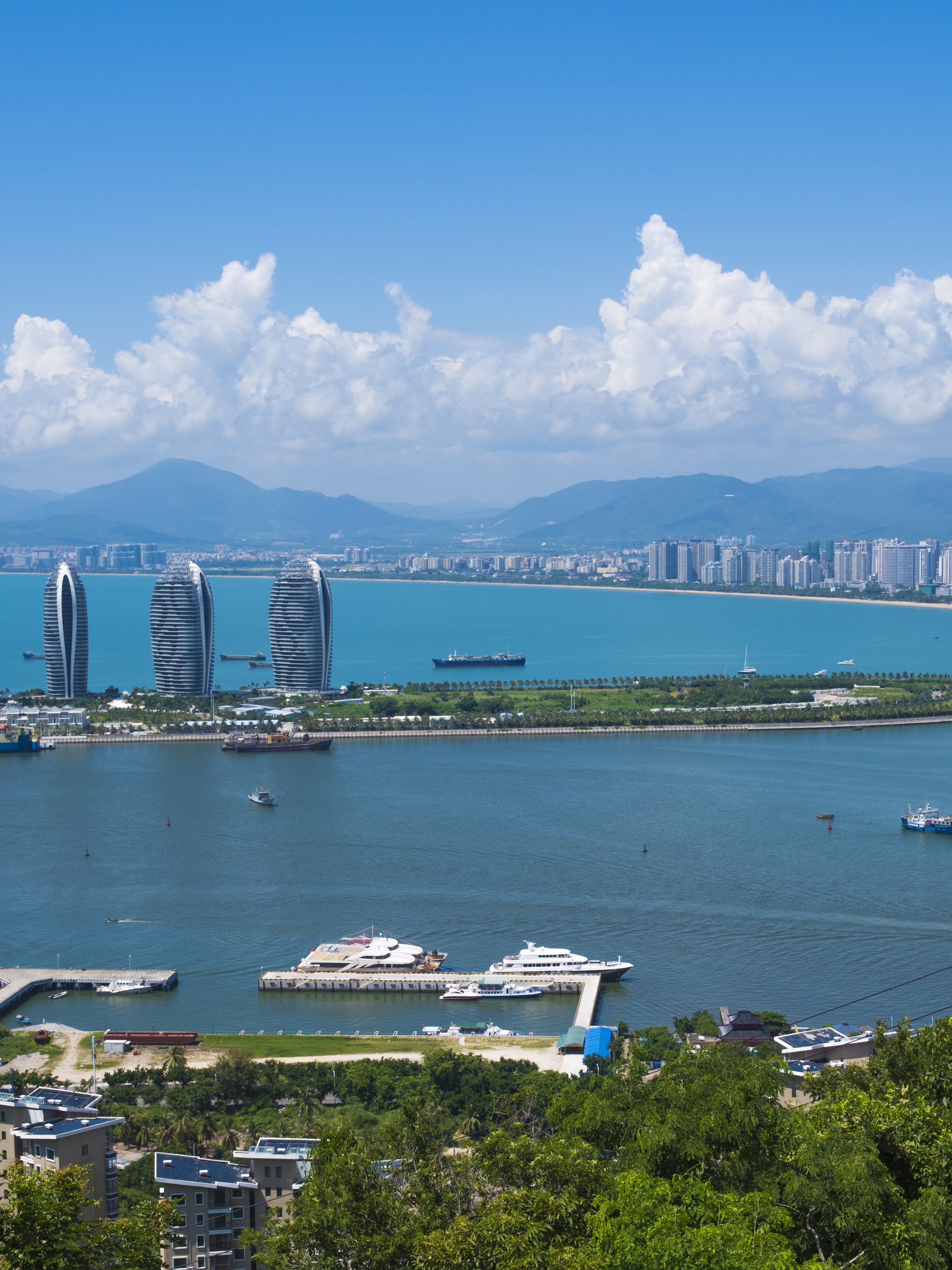 行走在椰树掩