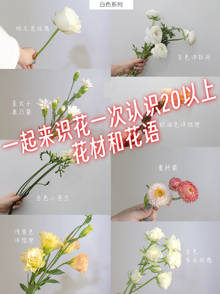 课件认识花朵怎么识别各种鲜花如果把花朵放在没有空气的地方会坏掉吗