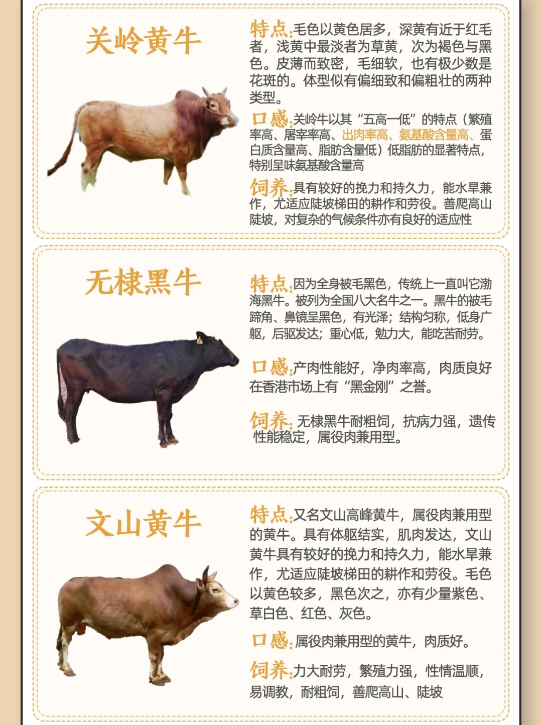 有许多常见的品种,它们各具特色,共同演绎着草原上的力量与美丽