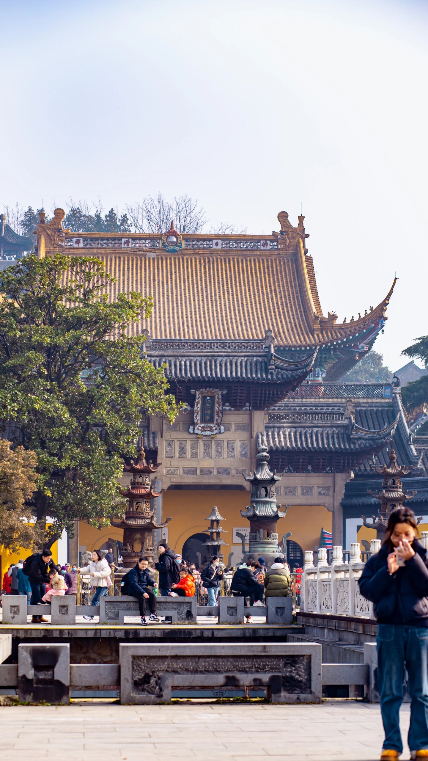 金山区旅游景点推荐图片