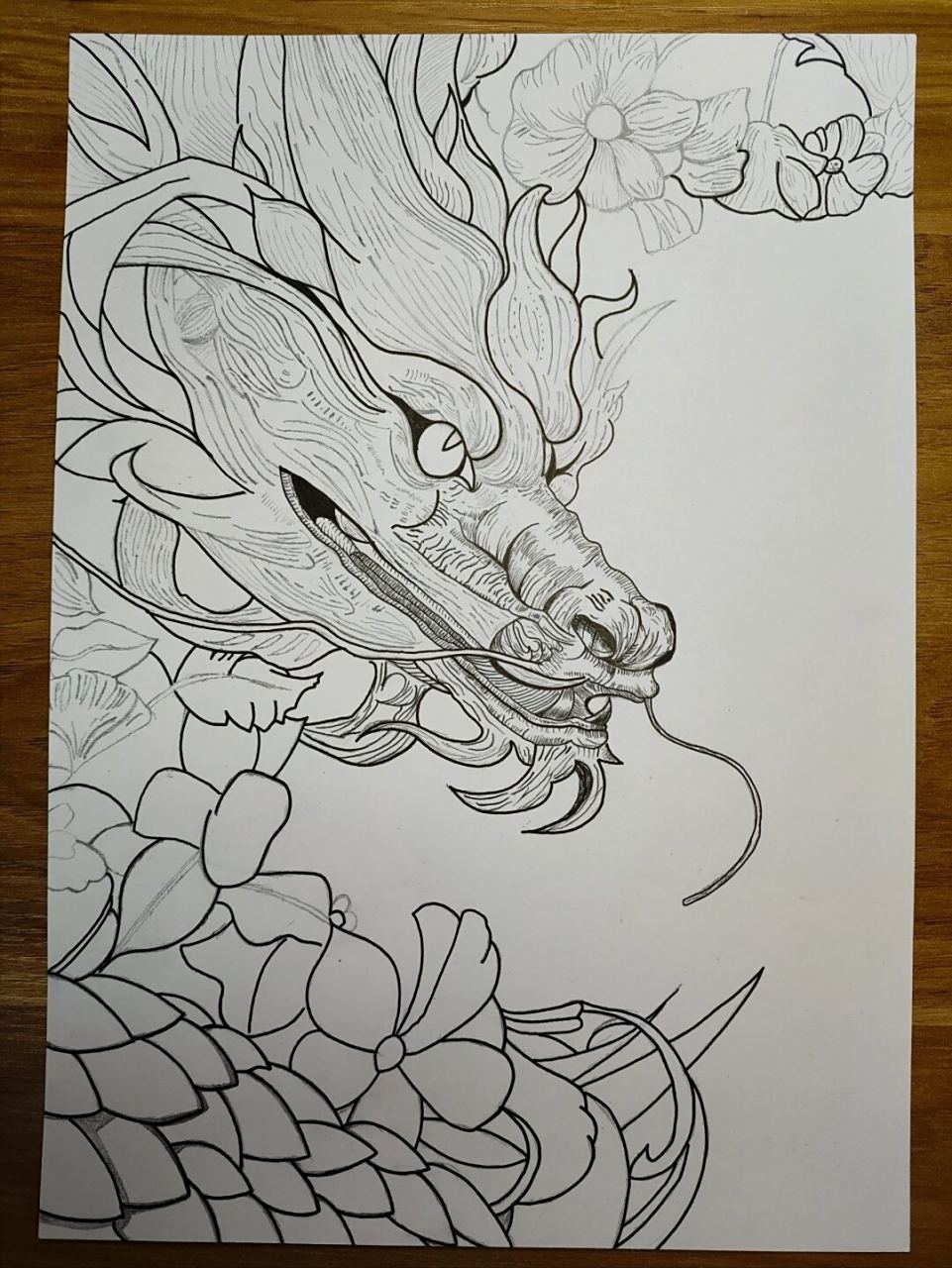 旭龙腾云起,家和万事兴