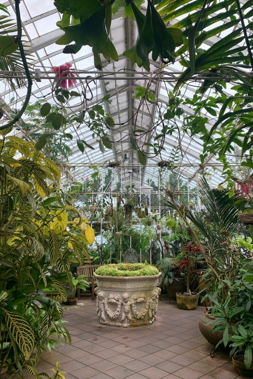来旧金山植物园和温室花房感受万物生长  当你踏入这片绿意盎然的植物