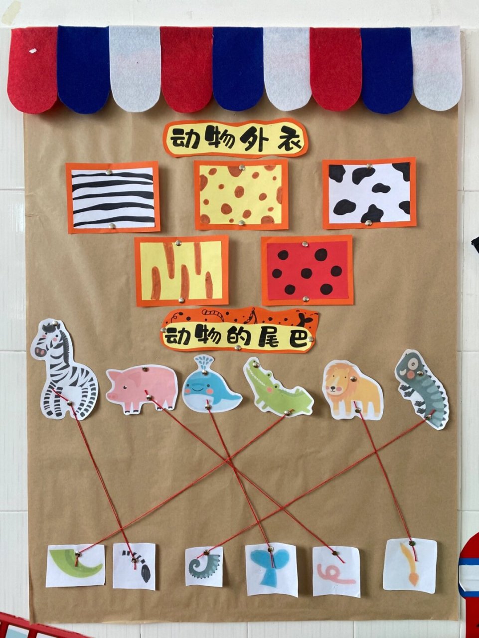 动物世界  幼儿园主题墙环创  板块一:濒临动物🦓🐼,保护动物从我