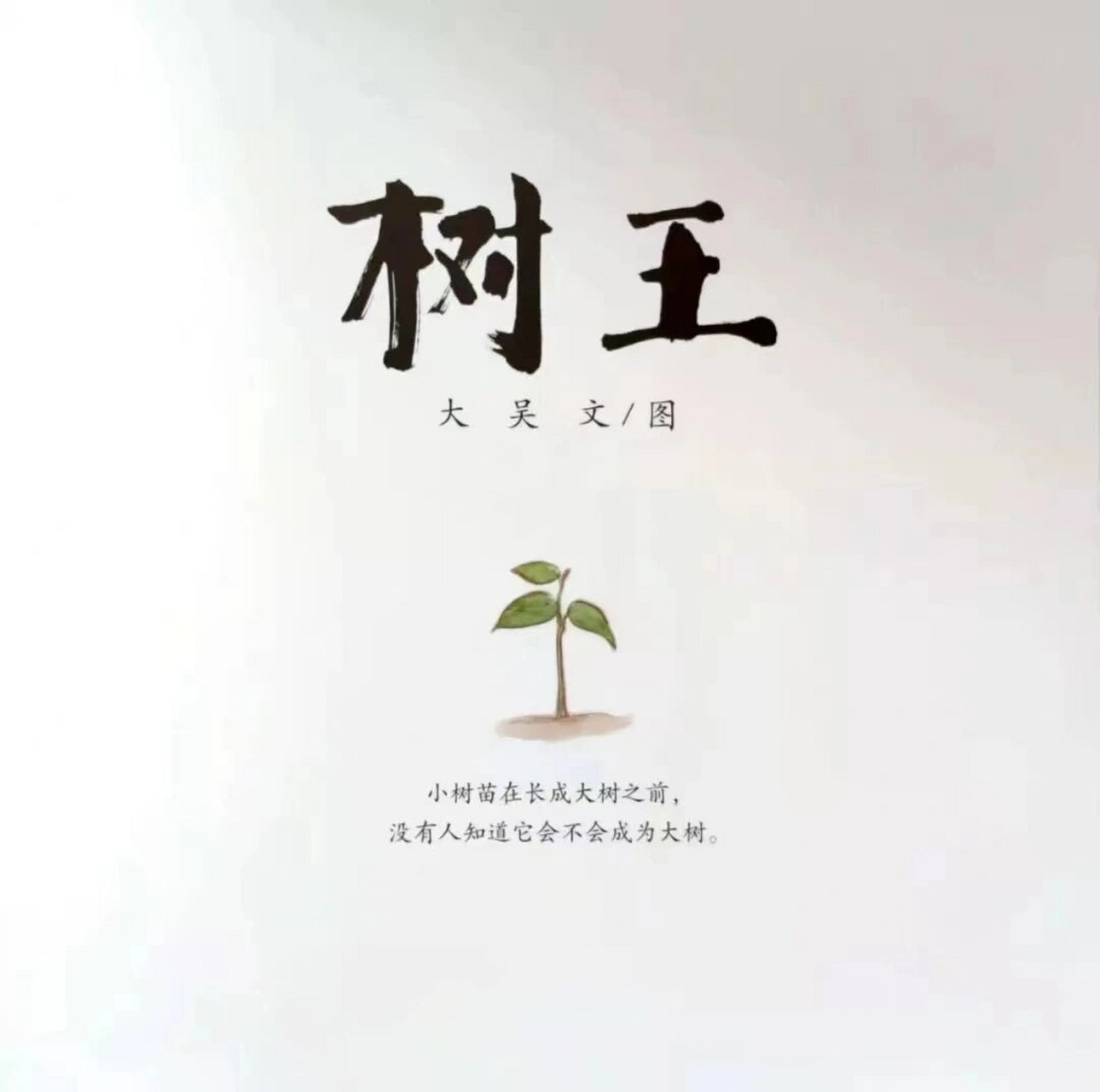 植树节绘本  《树王》 绘本简介: 97每一颗嫩绿的树苗,都怀揣着成为