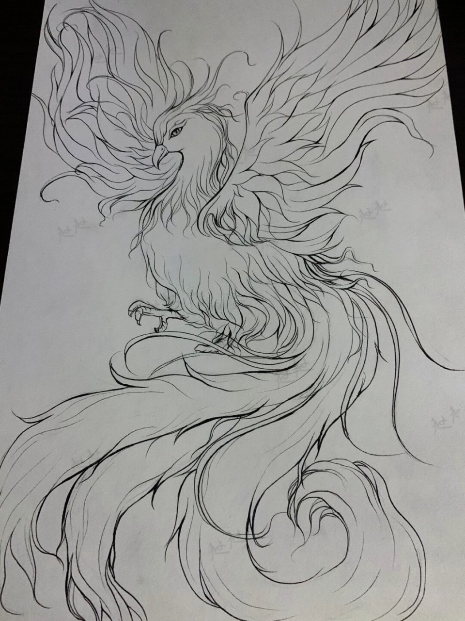 在寒冷的冬日里,一只洁白的雪凤展翅