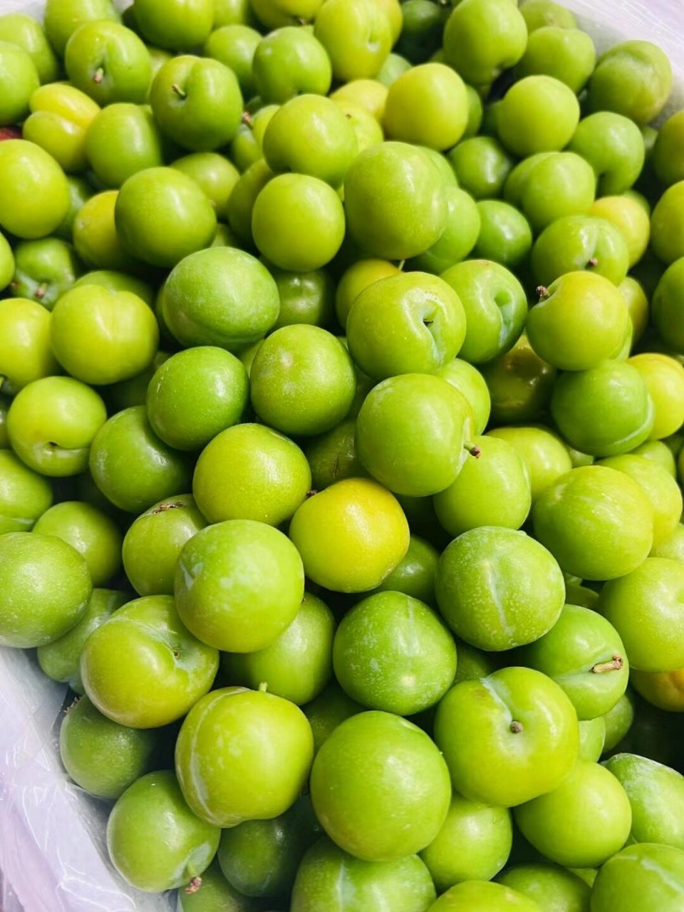 9797  哇塞,一口咬下,李子汁水四溢,甜中带酸,简直是味蕾的盛宴!