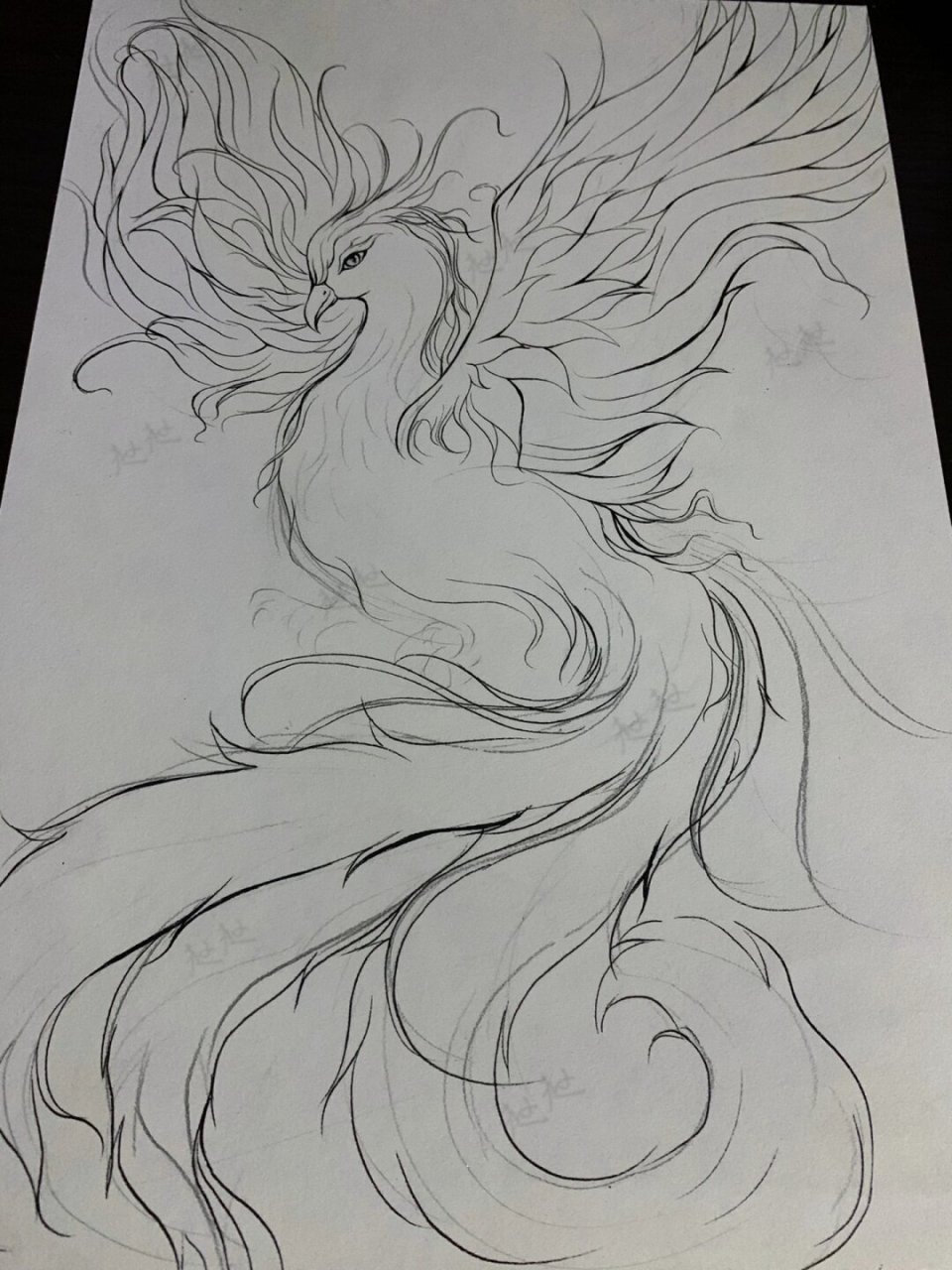 在寒冷的冬日里,一只洁白的雪凤展翅