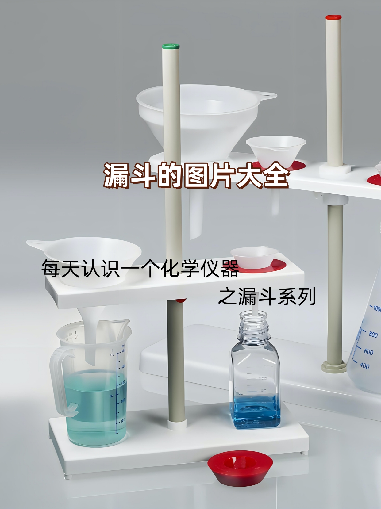 鹅颈漏斗图片图片