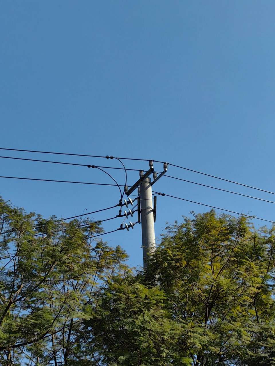 电线杆可是摄影构图的小神器呢!