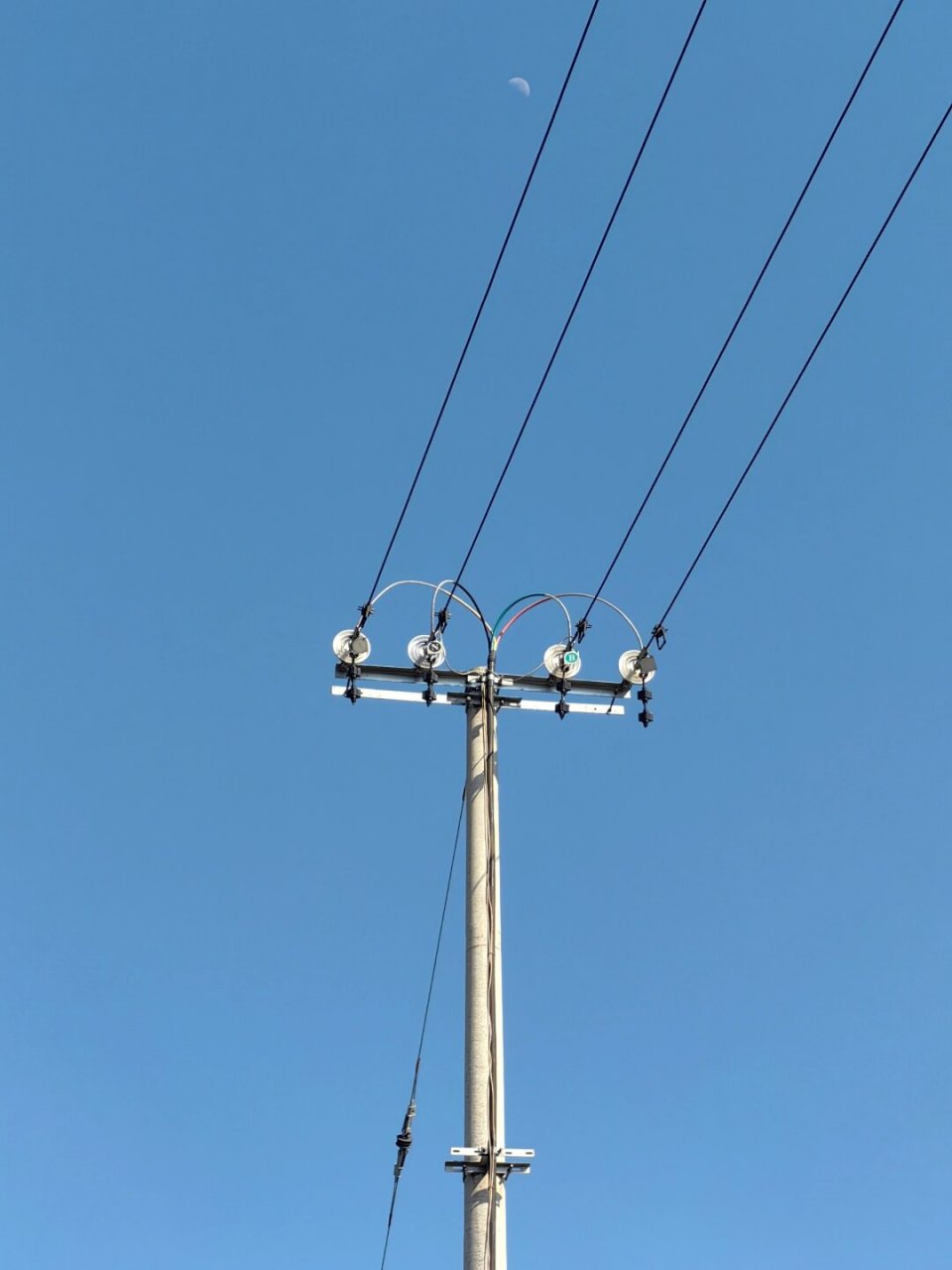 电线杆可是摄影构图的小神器呢!