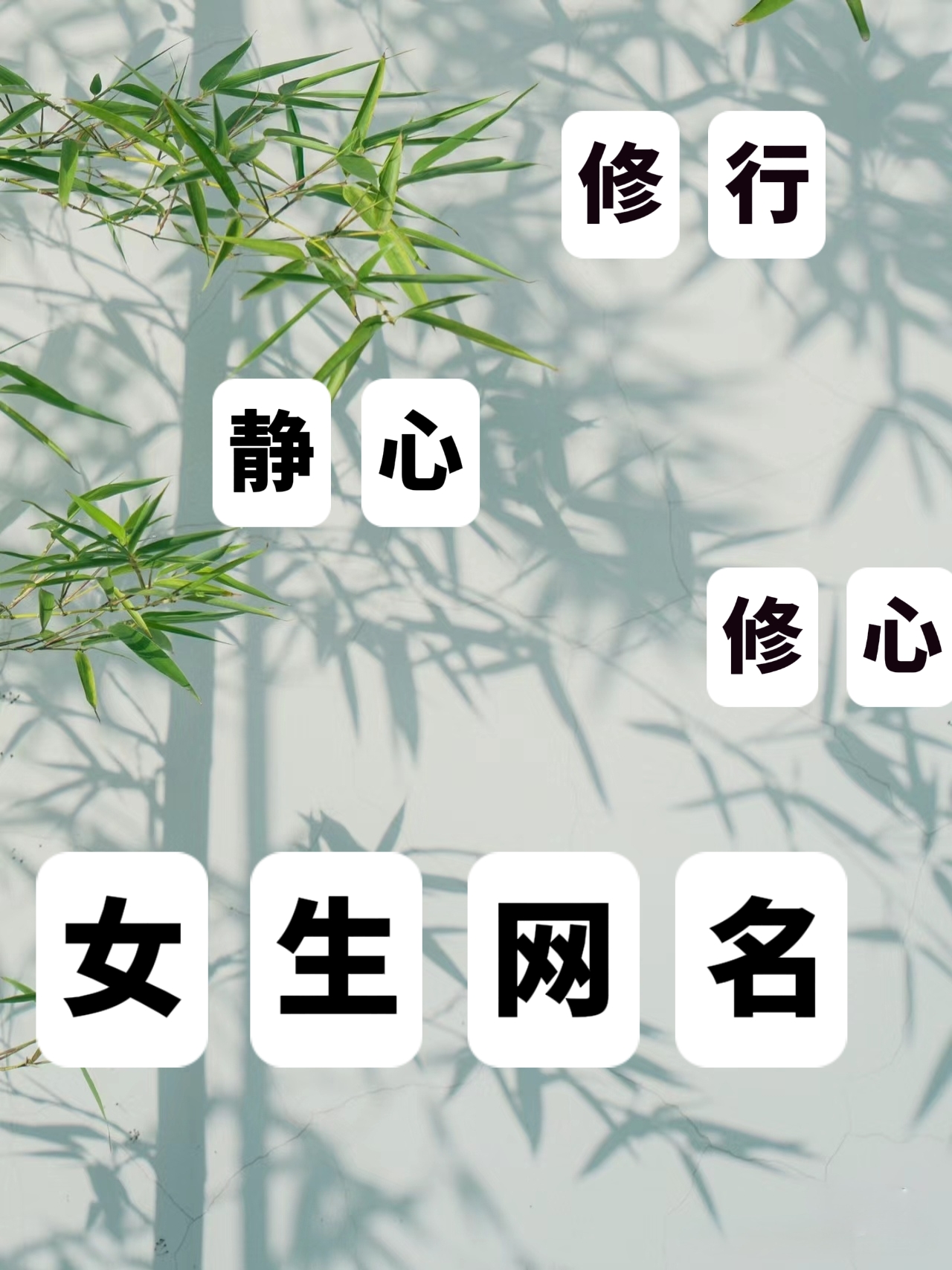 女子修行修心静心的网名