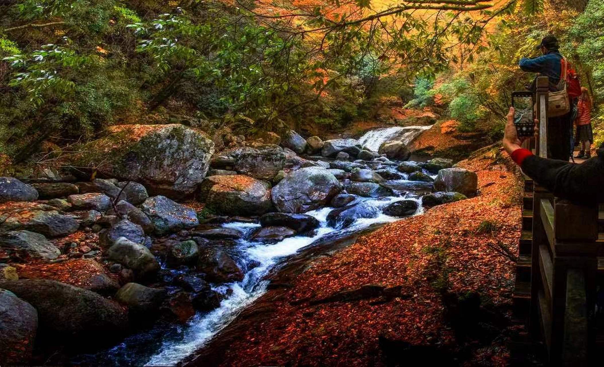 四川巴中南江县的光雾山旅游区藏有亚洲最大的红叶秘境!