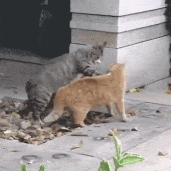 神回复:有人说把上面的泥土清理掉,减轻沉重,防止古城门倒塌?