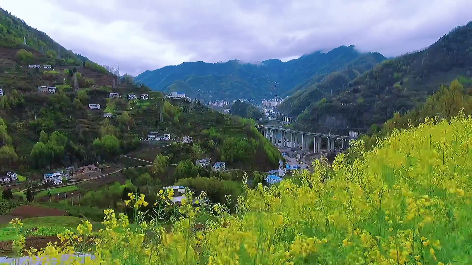 一起来紫阳喝富硒茶,赏美景吧