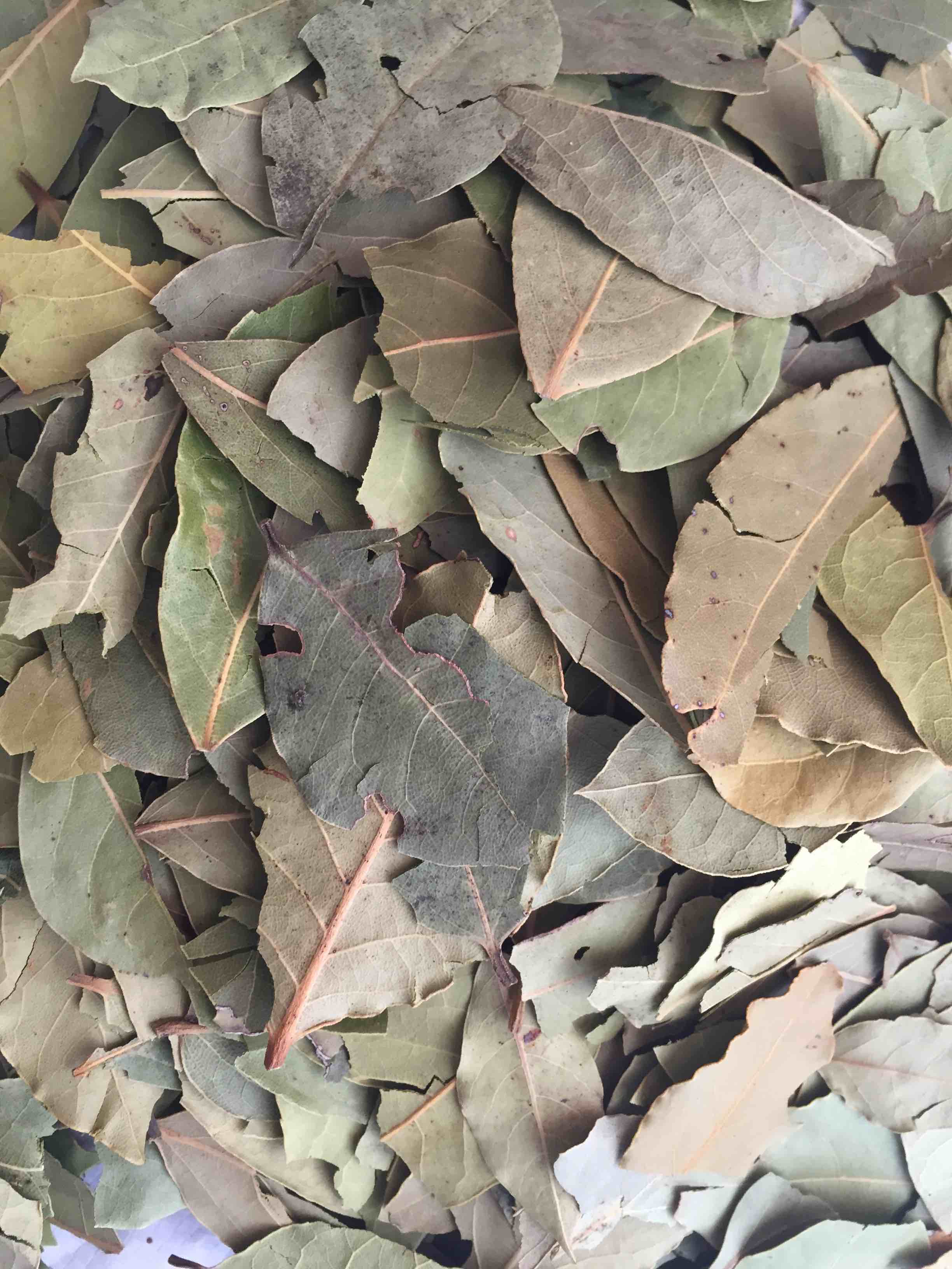 烹饪肉类常用到的"香叶",你了解多少