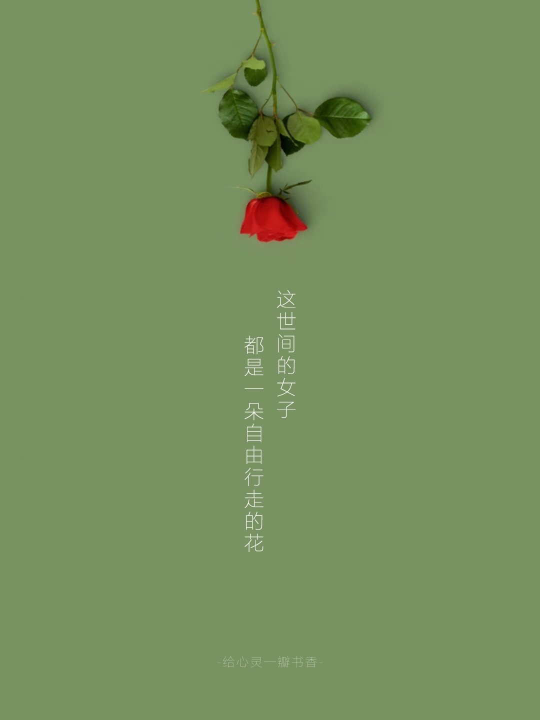做仙鹤而非金丝雀, 不管什么年龄, 都有重新开始的勇气和决心