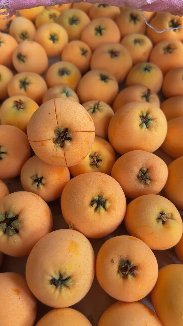 这枇杷,看着都甜!