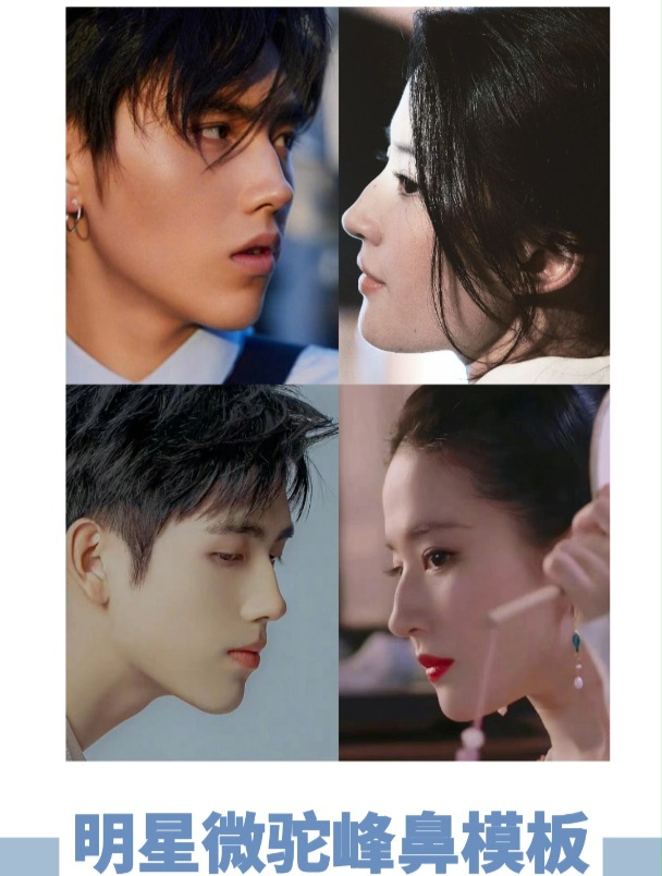 明星微驼峰鼻模板