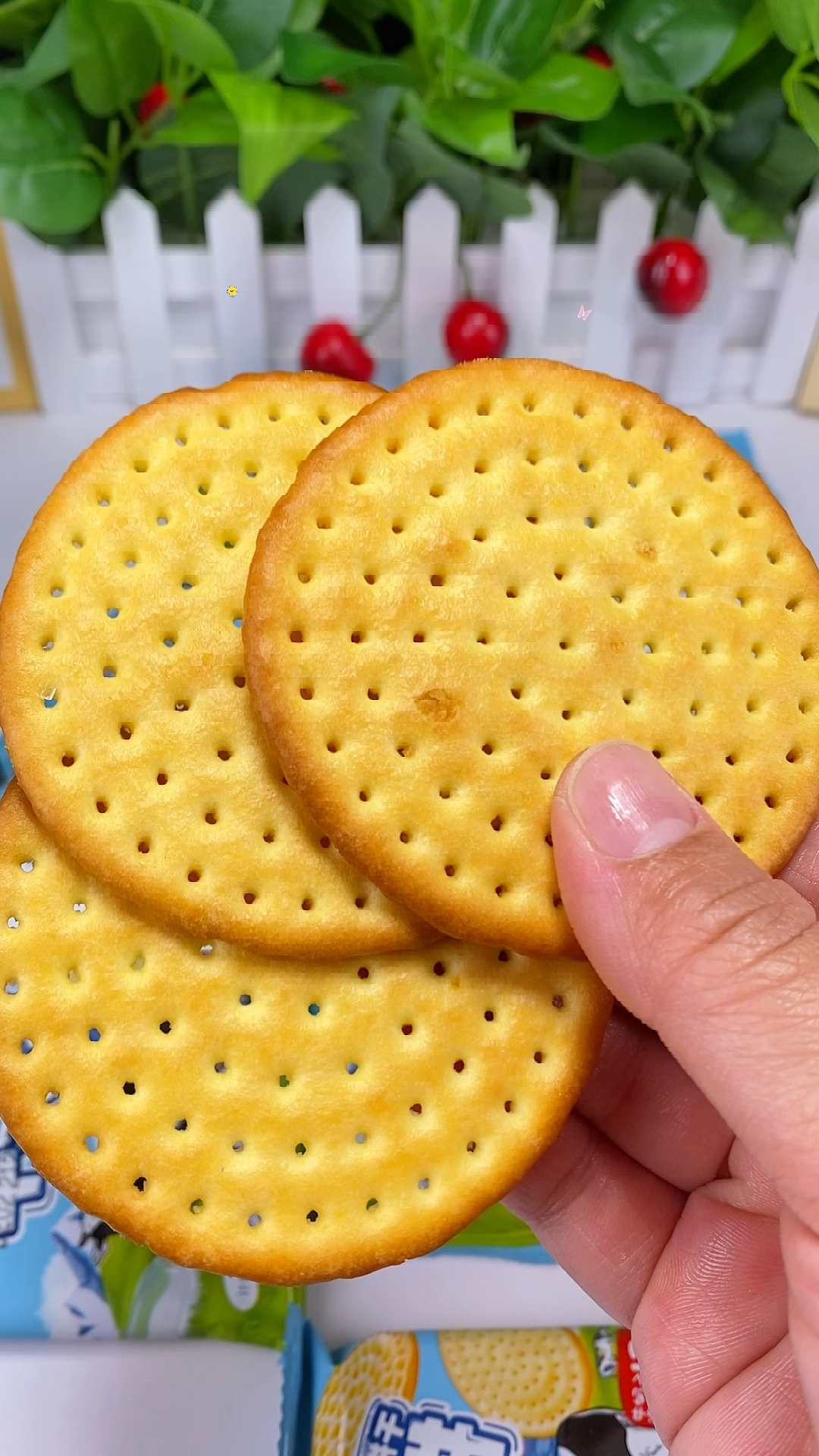 鸿祺牛乳饼干奶香味早餐饼草原鲜乳大饼