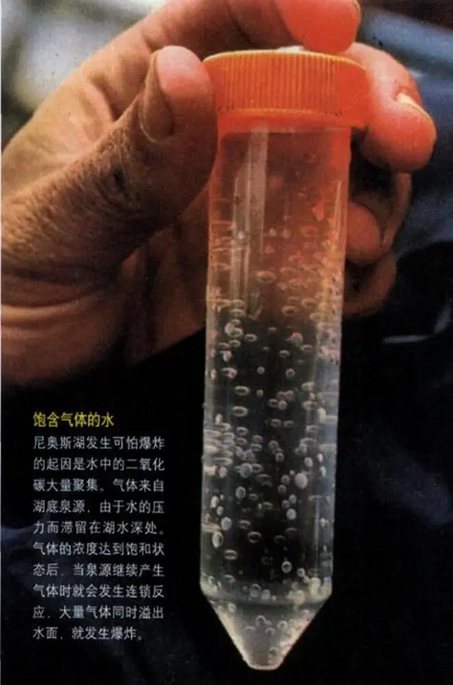 而且因为水资源丰富,尼奥斯湖周围的牲畜也都生长得很好,这里的村民算