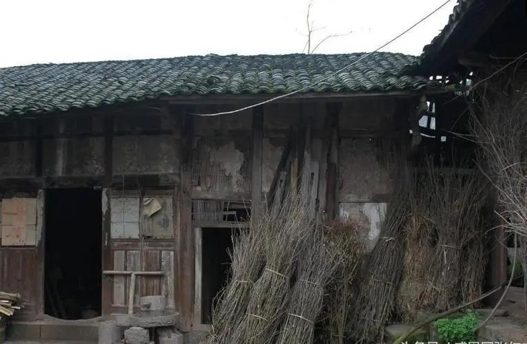 1990年重庆36岁光棍雪地捡到女弃婴,相依为命32年,她如何报恩?