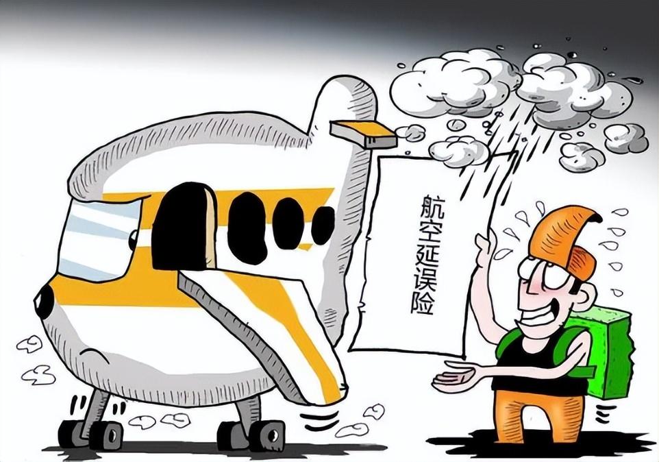 回顾女子利用飞机延误险漏洞5年间获得达300万的赔偿结局如何