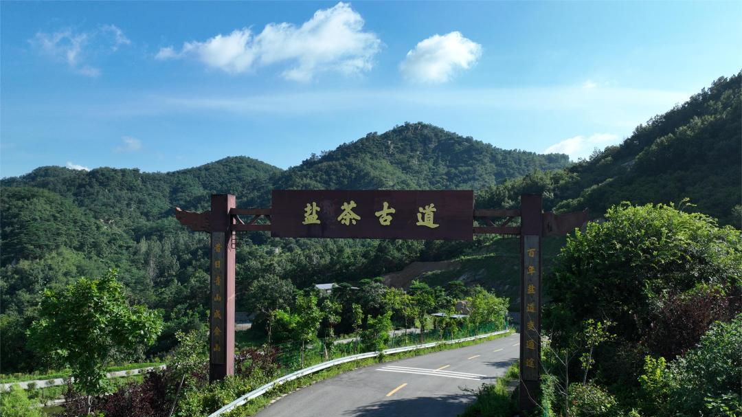 走进山野感受肆意生长的春