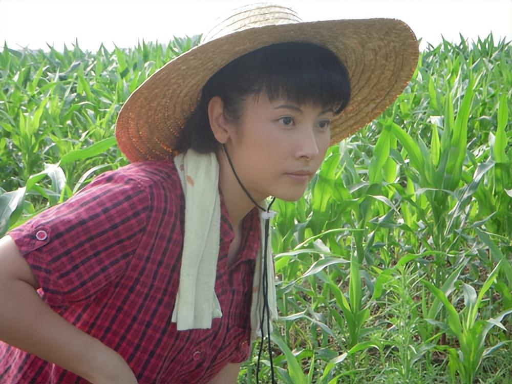 回顾杨明娜41岁结婚生子44岁与演员田亮对簿公堂离婚今怎样了