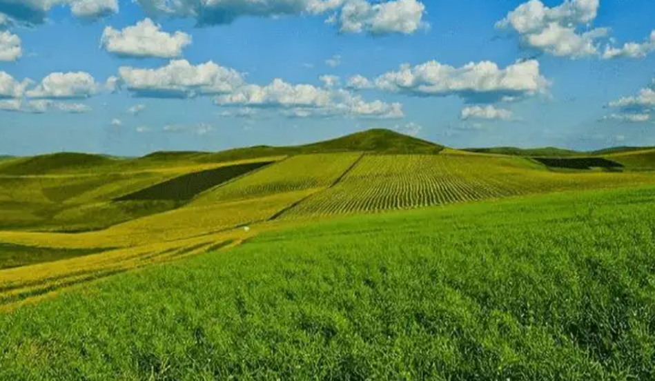 "绿色梦工厂"的幻灭