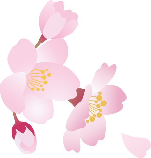 24年日本看樱花,不知道这个你就亏大了