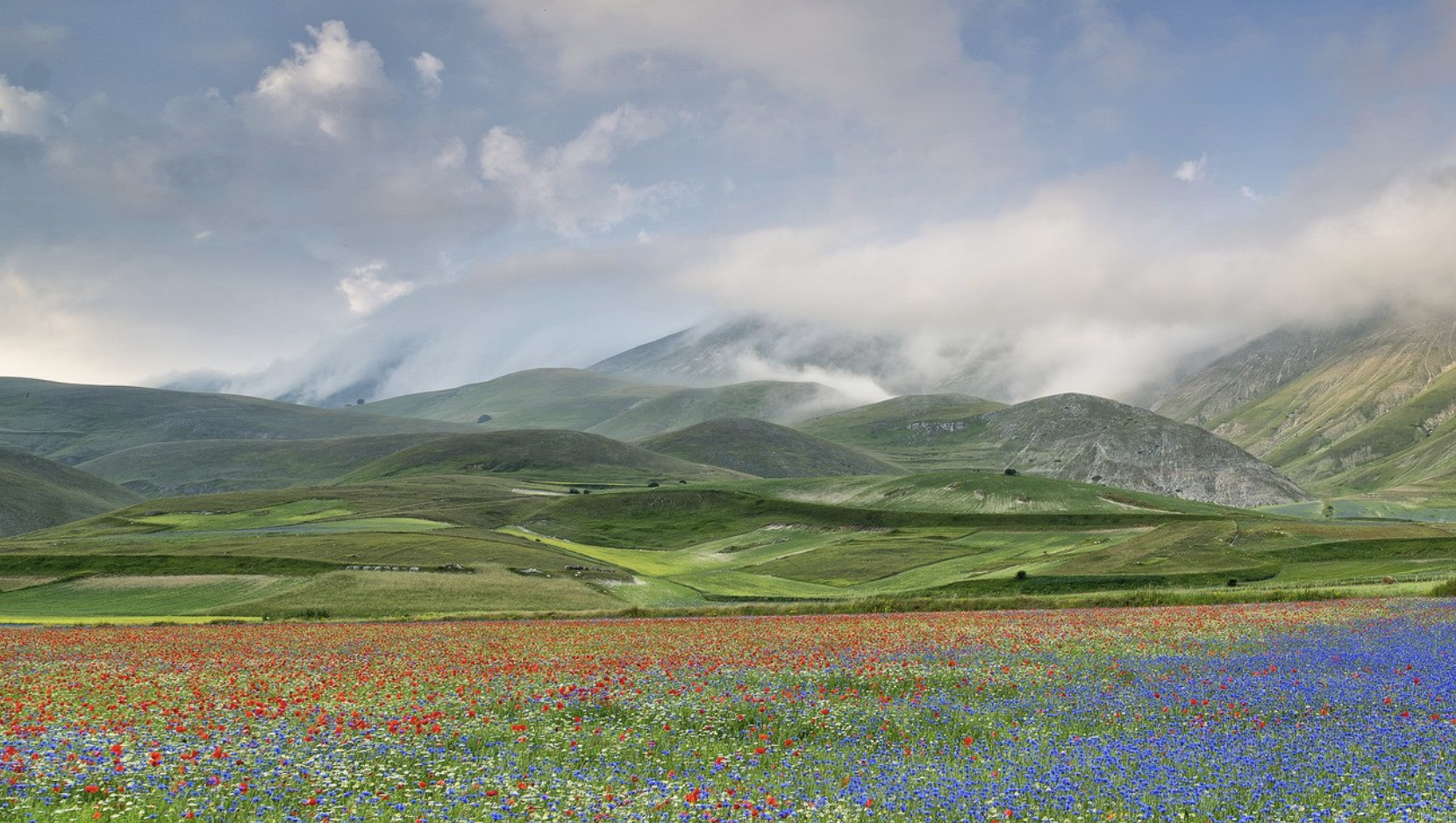 骨气大,血气强,本领棒的几个星座
