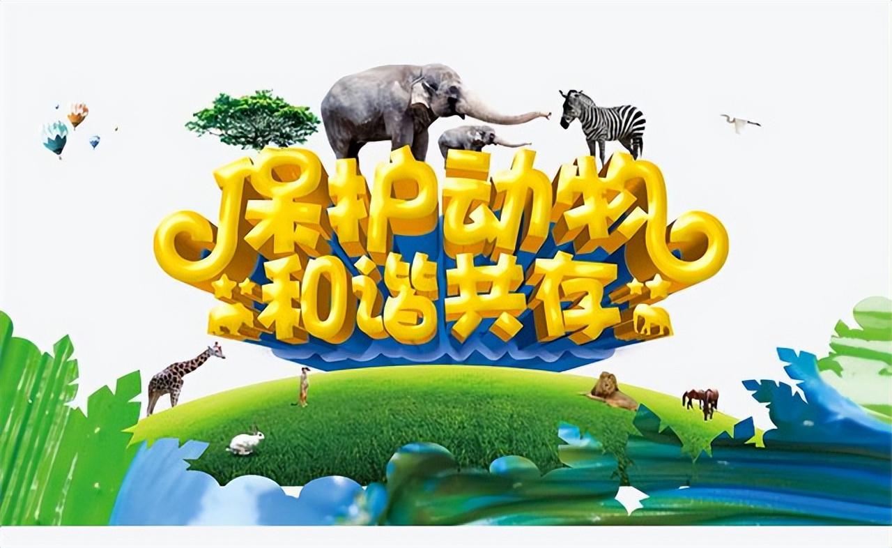 世界万物共生共存